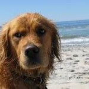 Meet your Posher, Rodolfo